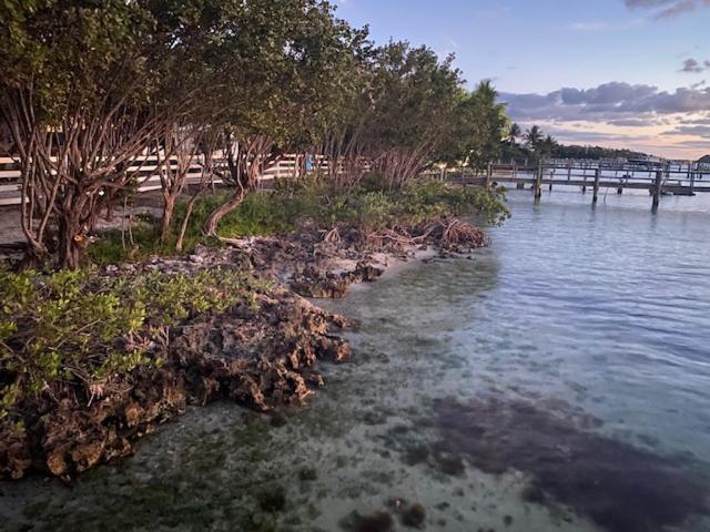 Bahia Bay Resort Key Largo Dış mekan fotoğraf